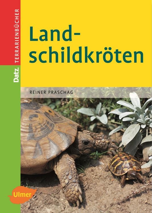 Bild vom Artikel Landschildkröten vom Autor Reiner Praschag
