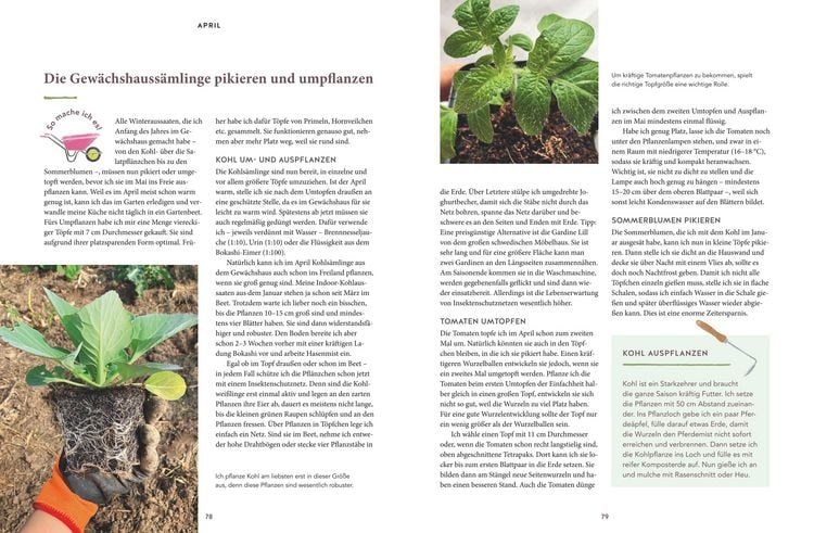 Produktbild: 12 Monate Gem&uuml;se ernten