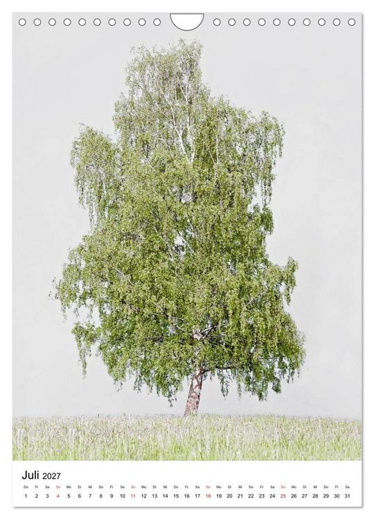 Produktbild: B&auml;ume (Wandkalender 2027 DIN A4 hoch), CALVENDO Monatskalender
