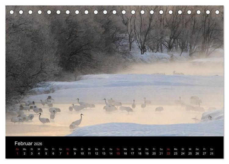 Produktbild: V&ouml;gel & Landschaften (Tischkalender 2026 DIN A5 quer), CALVENDO Monatskalender