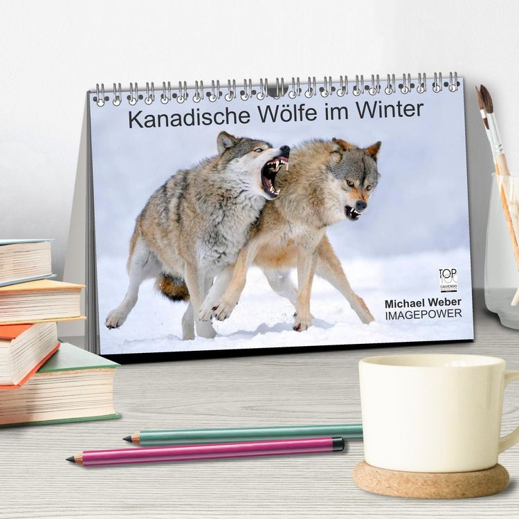 Produktbild: Kanadische W&ouml;lfe im Winter (Tischkalender 2026 DIN A5 quer), CALVENDO Monatskalender