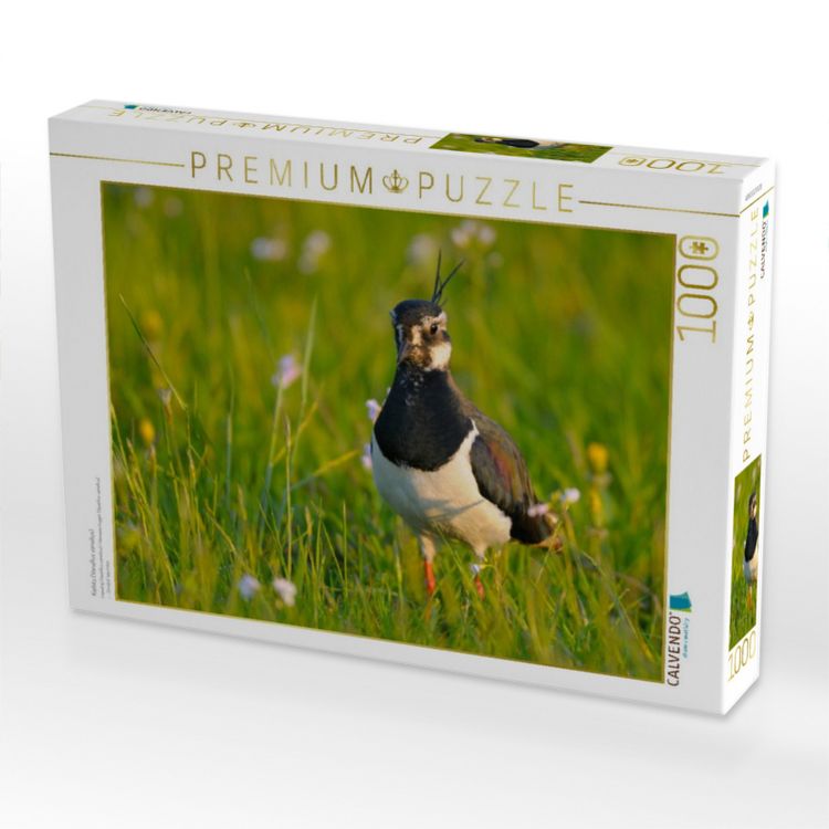 Produktbild: CALVENDO Puzzle Kiebitz (Vanellus vanellus) | 1000 Teile Lege-Gr&ouml;&szlig;e 64x48cm Foto-Puzzle f&uuml;r gl&uuml;ckliche Stunden