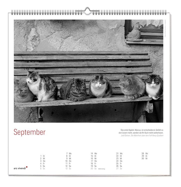 Produktbild: Der grosse literarische Katzen Kalender 2027