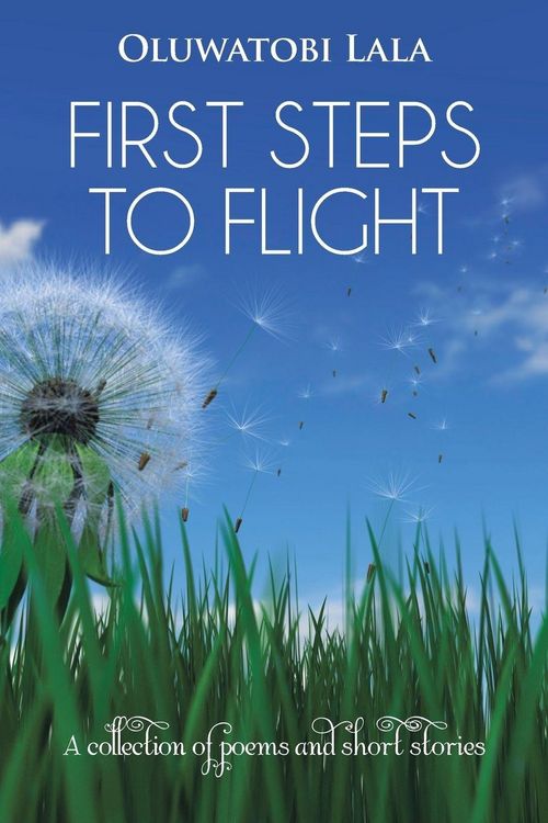 Produktbild: First Steps to Flight