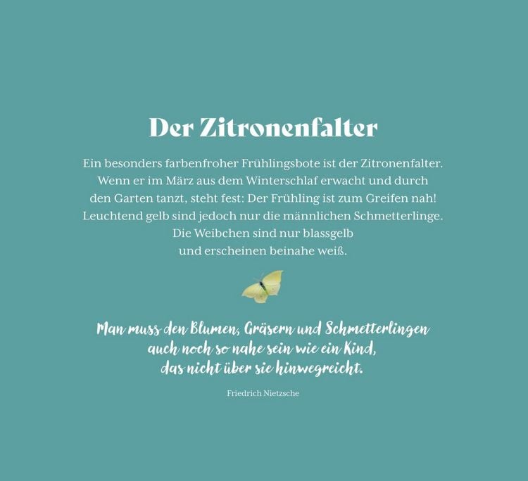 Produktbild: Kleine Wunder in meinem Garten