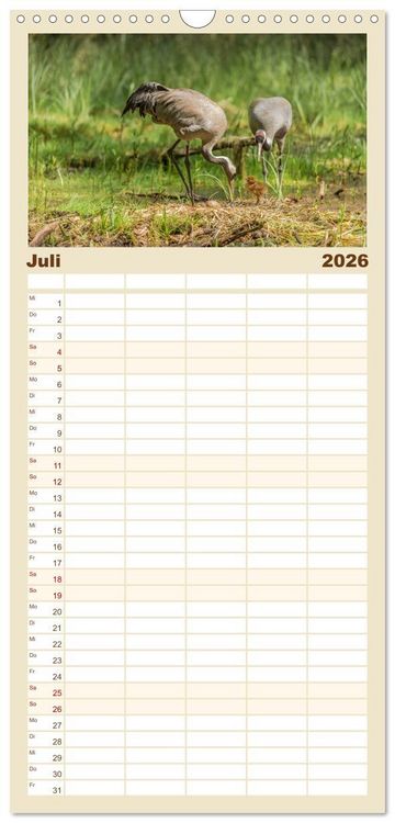Produktbild: Familienplaner 2026 - Mit Kranichen durch das Jahr mit 5 Spalten (Wandkalender, 21 x 45 cm) CALVENDO