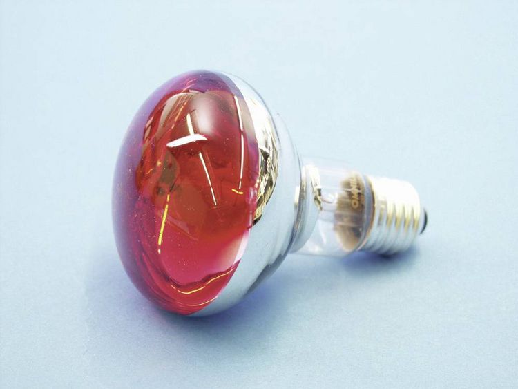 Produktbild: Eurolite 9210360U Gl&uuml;hlampe E27 Reflektor 60W Rot 1St.