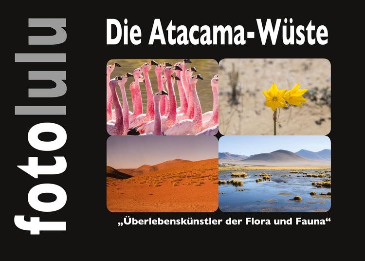 Produktbild: Die Atacama-W&uuml;ste