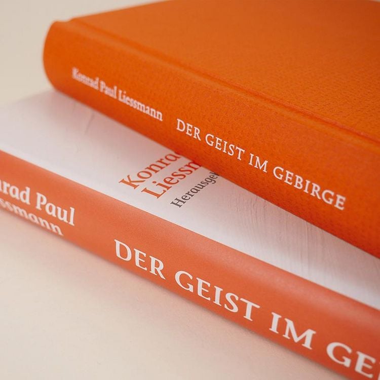 Produktbild: Der Geist im Gebirge