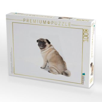 Produktbild: CALVENDO Puzzle Ein Motiv aus dem Kalender Mops - unwiderstehlich und charmant | 1000 Teile Lege-Gr&ouml;&szlig;e 64x48cm Foto-Puzzle f&uuml;r gl&uuml;ckliche Stunden