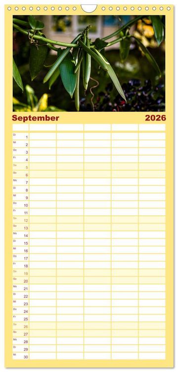 Produktbild: Familienplaner 2026 - Fr&uuml;chte der Karibik mit 5 Spalten (Wandkalender, 21 x 45 cm) CALVENDO