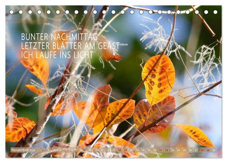 Produktbild: Haiku Poesie in Wort und Bild (Tischkalender 2026 DIN A5 quer), CALVENDO Monatskalender