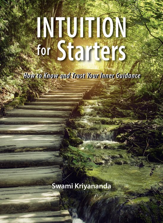 Produktbild: Intuition for Starters