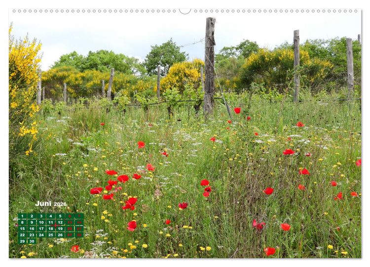 Produktbild: Herrliches Arno Tal - Wanderurlaub in der Toskana (Wandkalender 2026 DIN A2 quer), CALVENDO Monatskalender