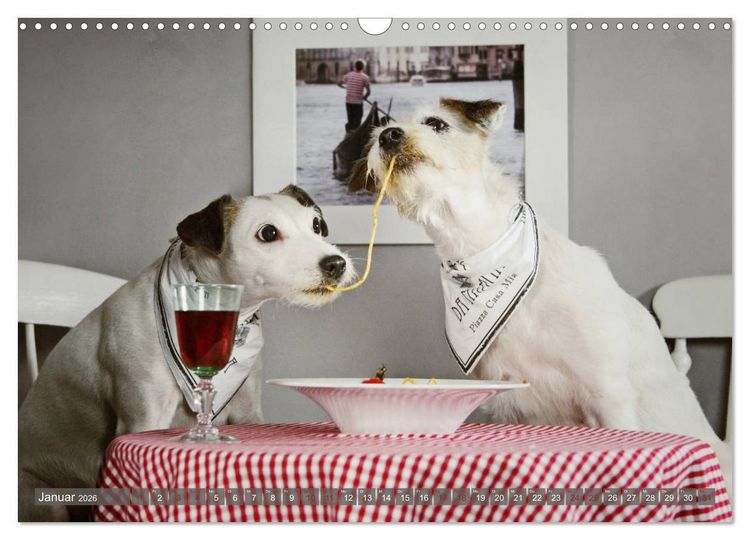 Produktbild: Die Parson-Russell-Terrier ...mit neuen Abenteuern aus der Hundeknipserei (Wandkalender 2026 DIN A3 quer), CALVENDO Monatskalender