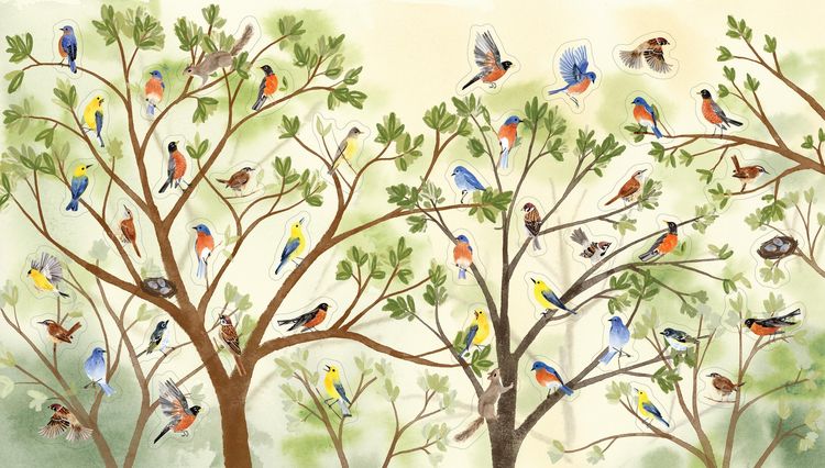 Produktbild: A Bird Lover's Sticker Book