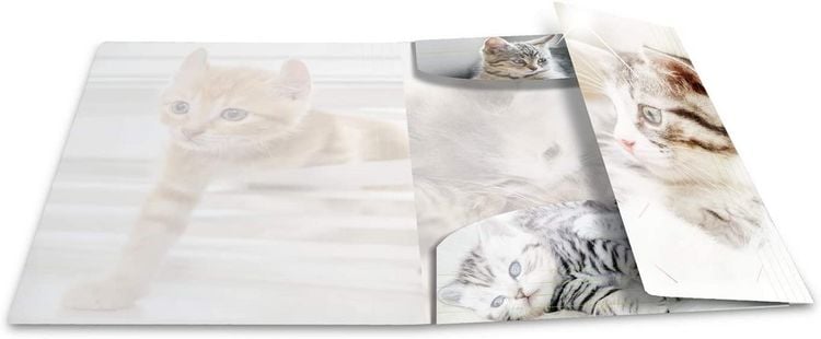Produktbild: Herma Sammelmappe A4 Tiere - Katzen