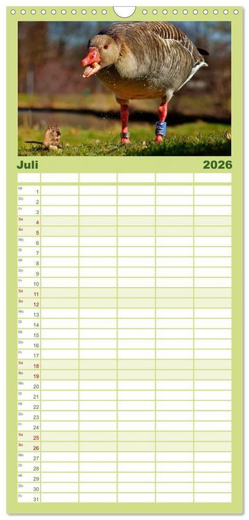 Produktbild: Familienplaner 2026 - Lustig und verr&uuml;ckt - der ganz andere Tierkalender mit 5 Spalten (Wandkalender, 21 x 45 cm) CALVENDO