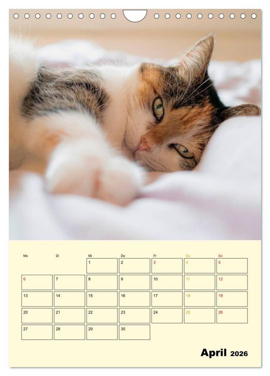 Produktbild: K&auml;tzchen - Theater (Wandkalender 2026 DIN A4 hoch), CALVENDO Monatskalender