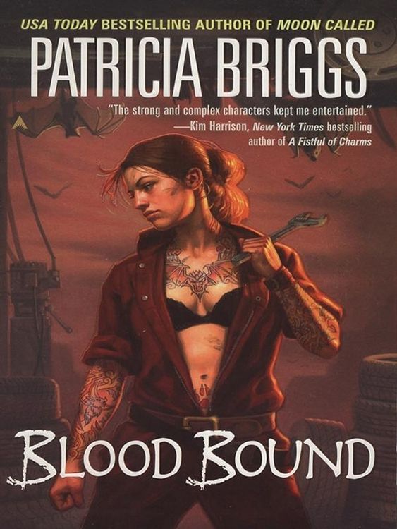 Produktbild: Blood Bound