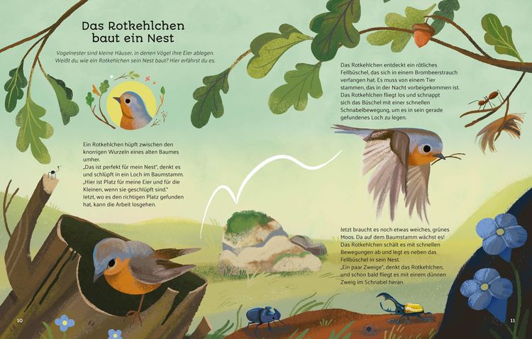 Produktbild: Kleine Geschichten aus der Natur