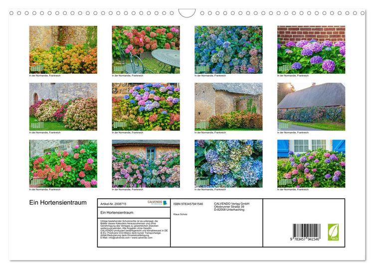 Produktbild: Ein Hortensientraum (Wandkalender 2026 DIN A3 quer), CALVENDO Monatskalender