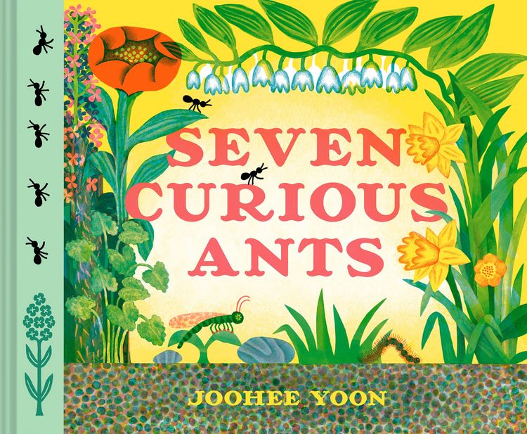 Produktbild: Seven Curious Ants