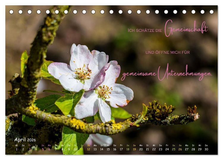 Produktbild: Weibliche Kraft - 12 Impulse zu deiner Wirksamkeit als Frau (Tischkalender 2026 DIN A5 quer), CALVENDO Monatskalender