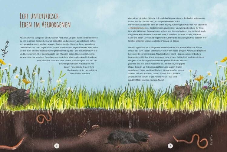 Produktbild: Die Wildwiese