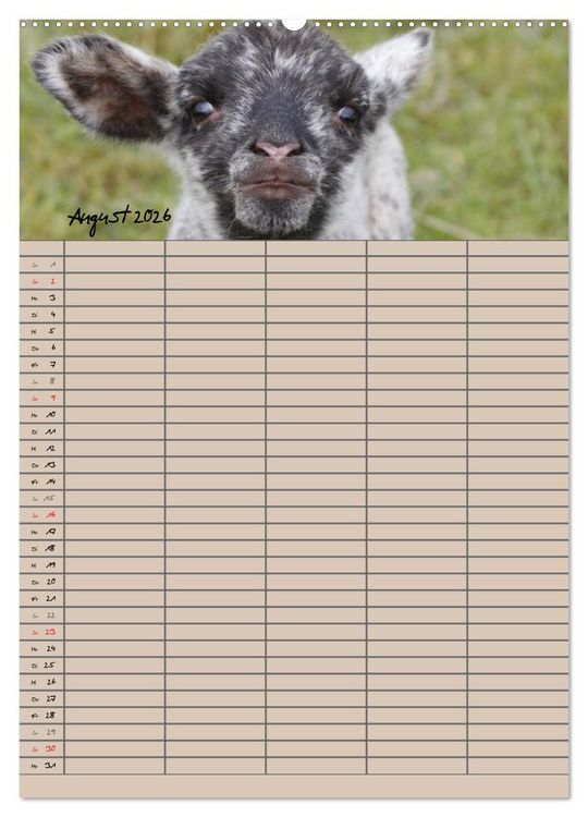Produktbild: Der bel&auml;mmerte Familienplaner (Wandkalender 2026 DIN A2 hoch), CALVENDO Monatskalender