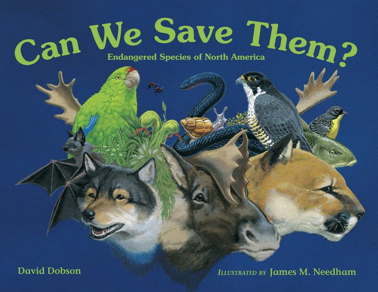 Produktbild: Can We Save Them?