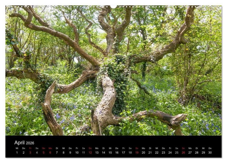 Produktbild: Unterwegs auf der Isle of Wight (Wandkalender 2026 DIN A2 quer), CALVENDO Monatskalender