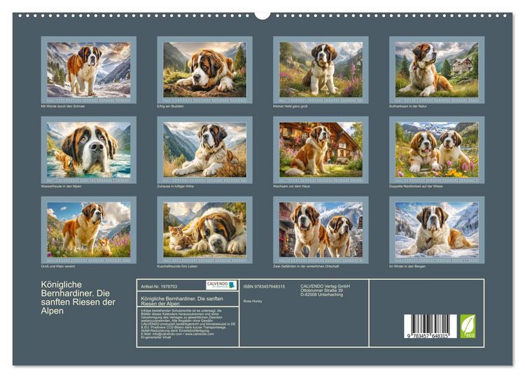 Produktbild: K&ouml;nigliche Bernhardiner. Die sanften Riesen der Alpen (hochwertiger Premium Wandkalender 2026 DIN A2 quer), Kunstdruck in Hochglanz