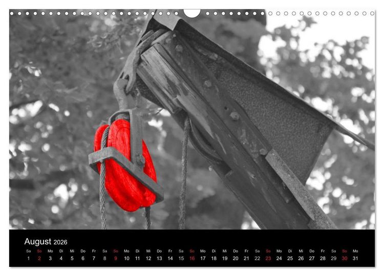 Produktbild: Blickfang in Rot (Wandkalender 2026 DIN A3 quer), CALVENDO Monatskalender