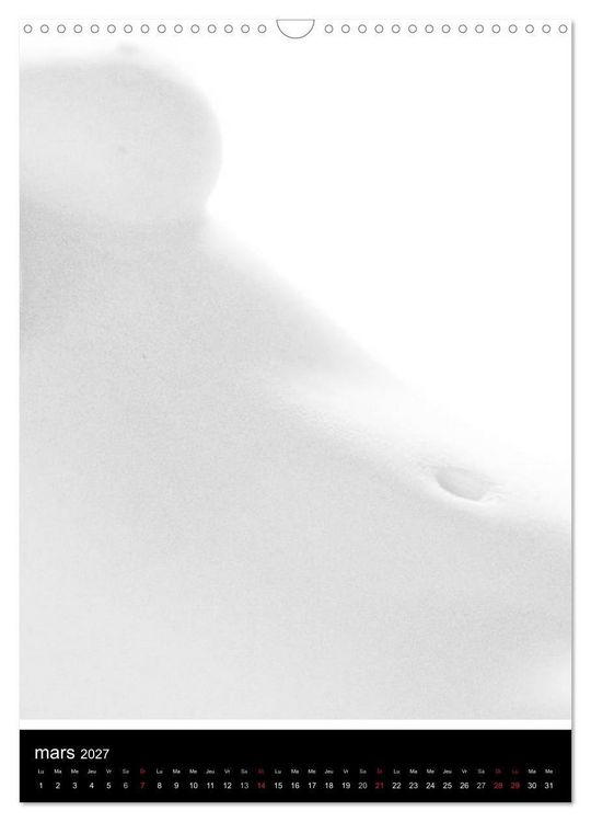 Produktbild: F&eacute;minit&eacute; (Calendrier mural 2027 DIN A3 horizontal), CALVENDO calendrier mensuel