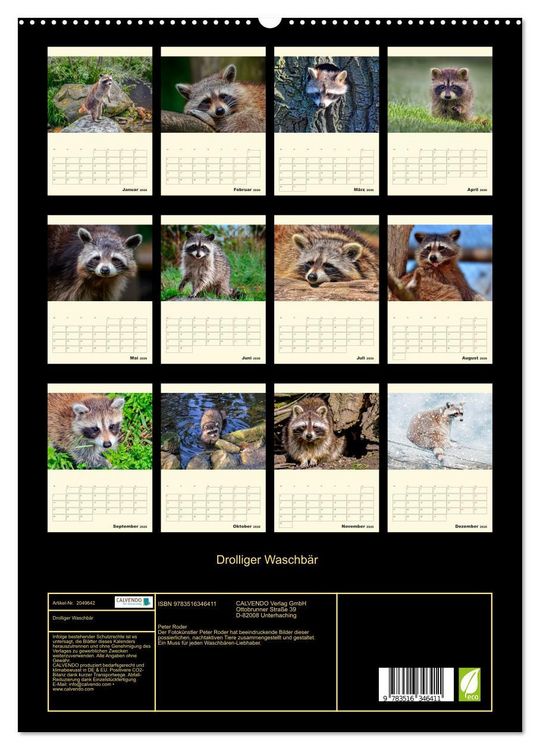 Produktbild: Drolliger Waschb&auml;r (hochwertiger Premium Wandkalender 2026 DIN A2 hoch), Kunstdruck in Hochglanz