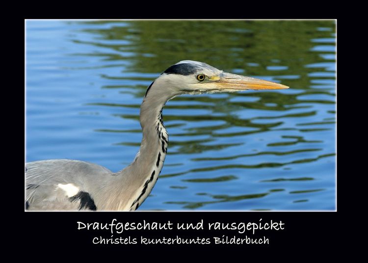 Produktbild: Draufgeschaut und rausgepickt
