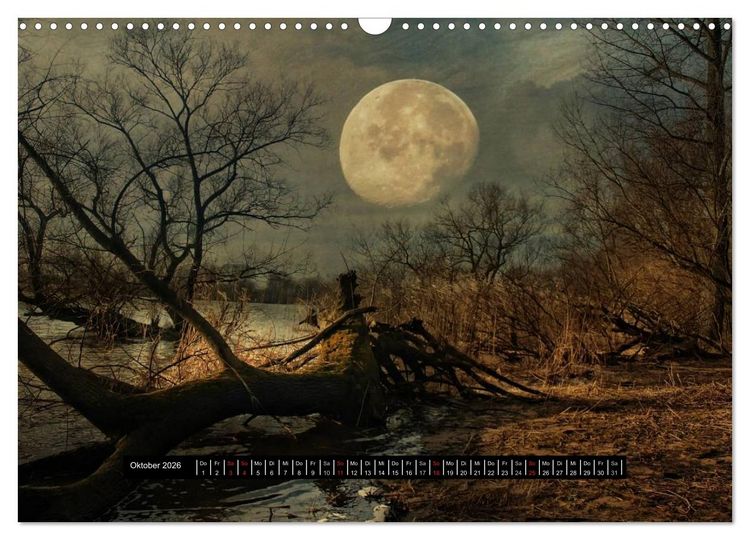 Produktbild: Sehnsucht der Natur (Wandkalender 2026 DIN A3 quer), CALVENDO Monatskalender