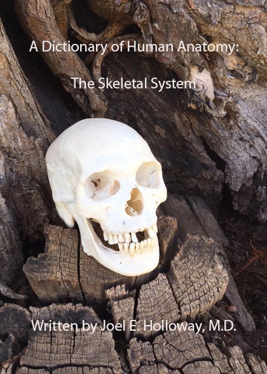 Produktbild: A Dictionary of Human Anatomy: Skeletal System