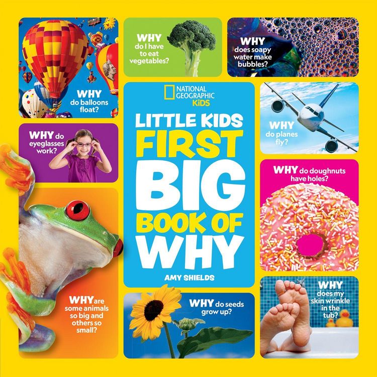Produktbild: LITTLE KIDS FIRST_NATIONAL HB