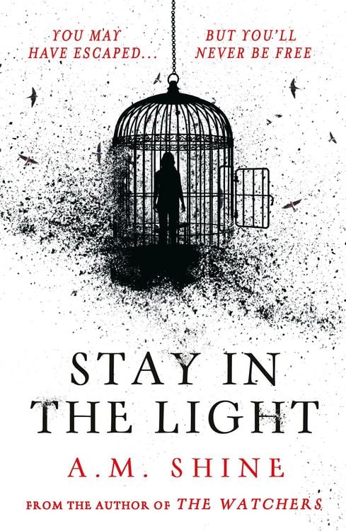 Produktbild: Stay in the Light