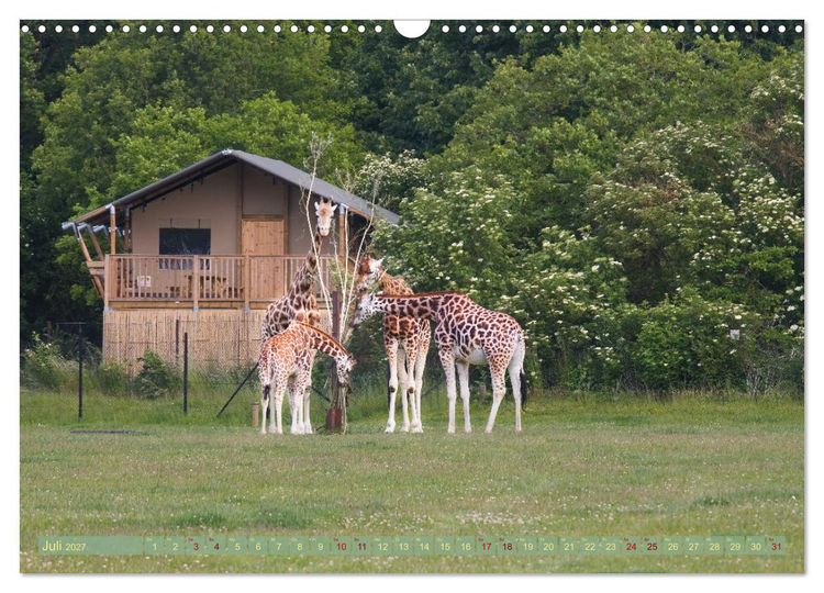 Produktbild: D&auml;nemark Lolland Ein Urlaub voller Mythen und Sch&ouml;nheiten (Wandkalender 2027 DIN A3 quer), CALVENDO Monatskalender