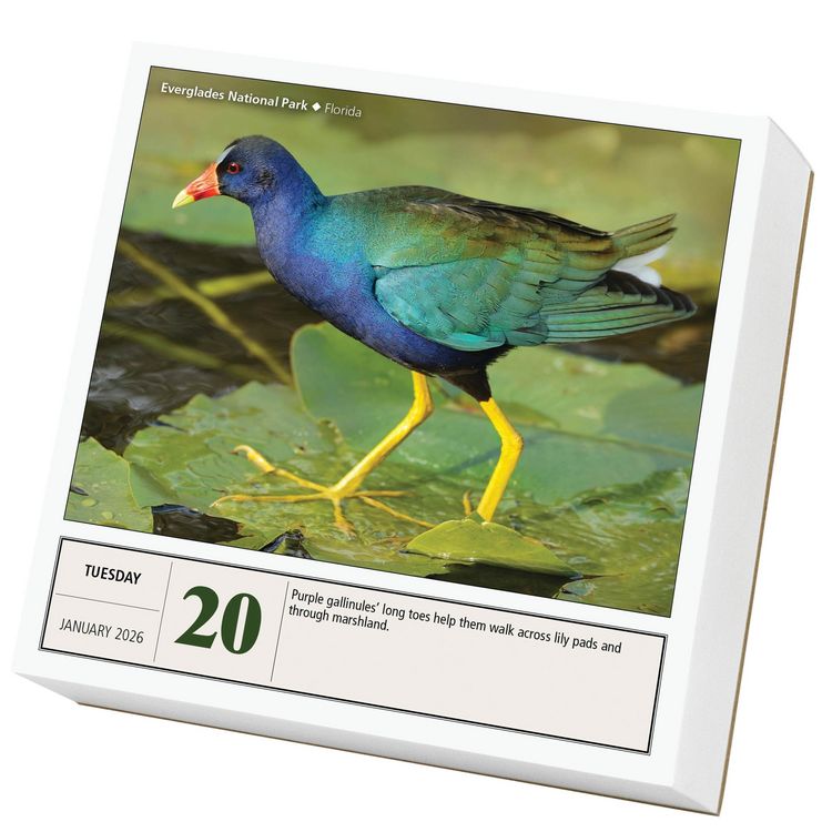 Produktbild: National Parks Page-A-Day(r) Calendar 2026