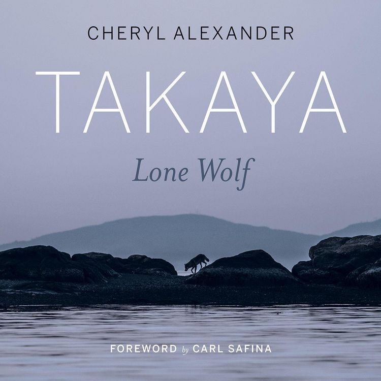 Produktbild: Takaya