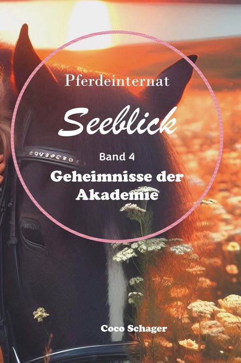 Produktbild: Pferdeinternat Seeblick Band 4