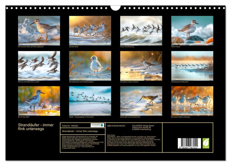 Produktbild: Strandl&auml;ufer - immer flink unterwegs (Wandkalender 2026 DIN A3 quer), CALVENDO Monatskalender