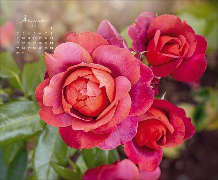 Produktbild: Floral Art 2027