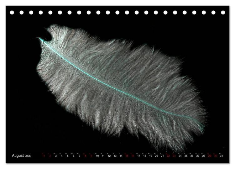 Produktbild: Federleichte Momente (Tischkalender 2026 DIN A5 quer), CALVENDO Monatskalender