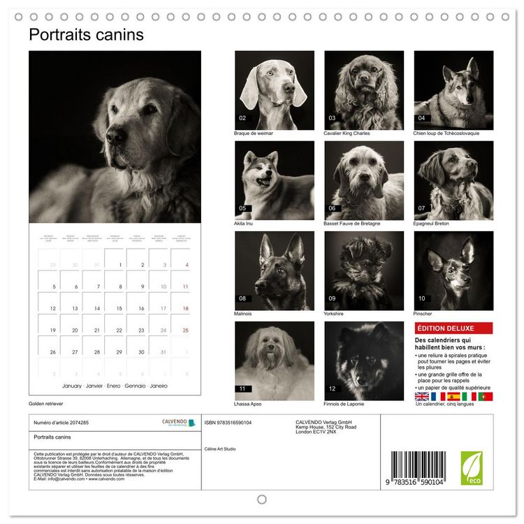 Produktbild: Portraits canins (Calendrier mural carr&eacute; 2026 30x30 cm) Calendrier double avec une page pour vos prises de notes