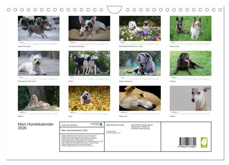 Produktbild: Mein Hundekalender 2026 (Wandkalender 2026 DIN A4 quer), CALVENDO Monatskalender